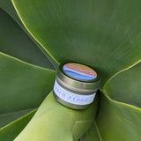 Santa Barbara Travel Candle in Aloe Plant